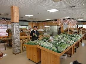 道の駅いわで