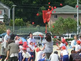 多奈川小学校運動会の写真1