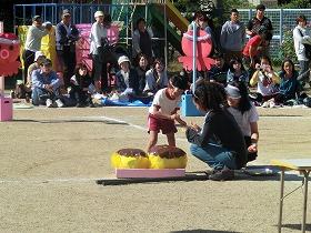 多奈川保育所運動会の写真2