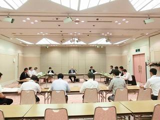 大阪府まち・ひと・しごと創生推進審議会の様子