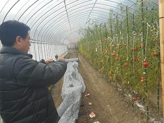 生きがいファーム収穫祭の様子