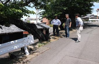 現地視察を行う田代町長