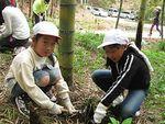 竹林で二人の子供がタケノコほりをしている写真