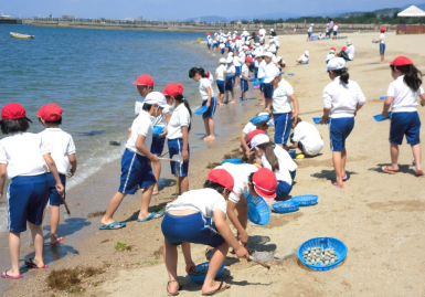 淡輪海水浴場で潮干狩りをする子どもの写真