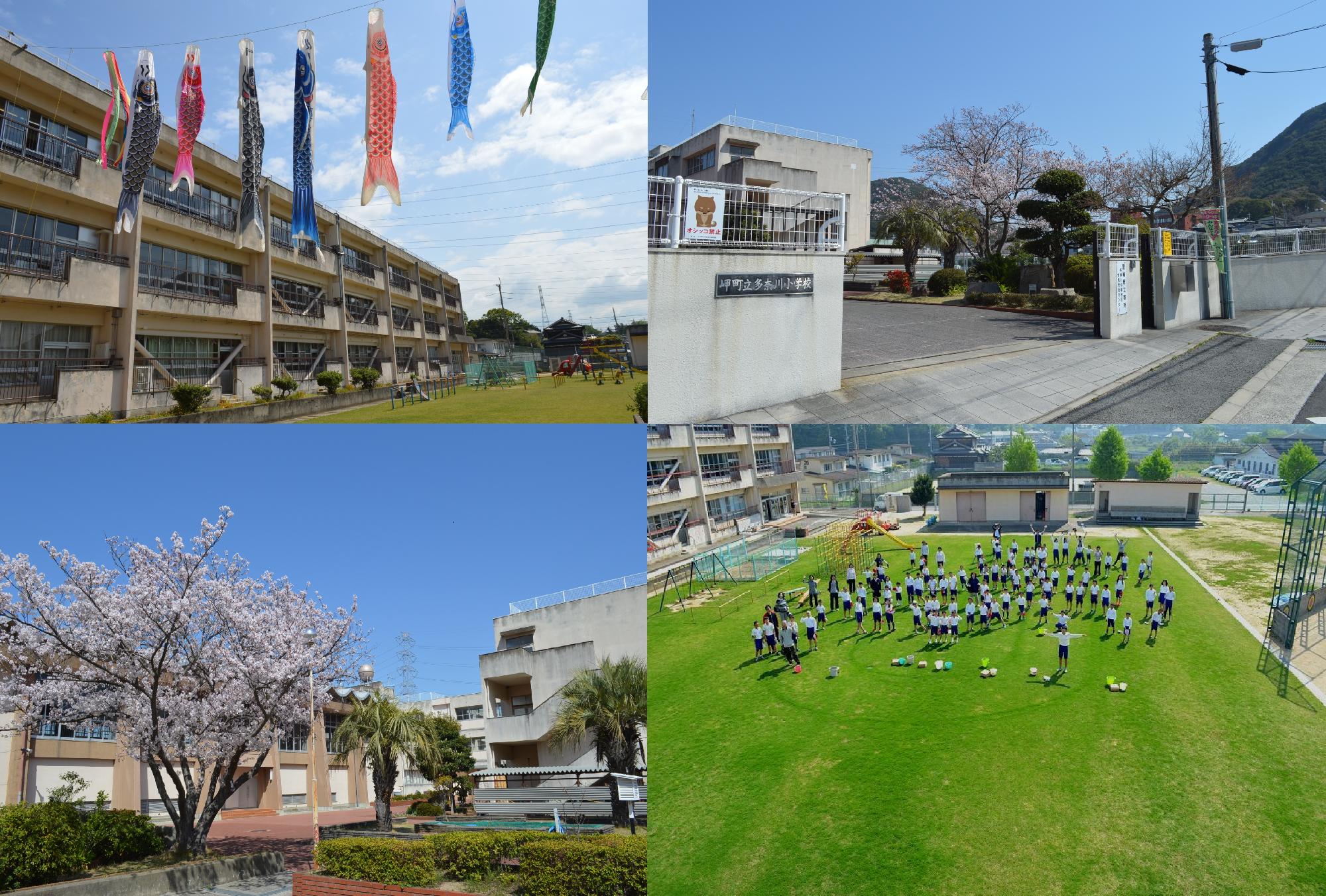 多奈川小学校