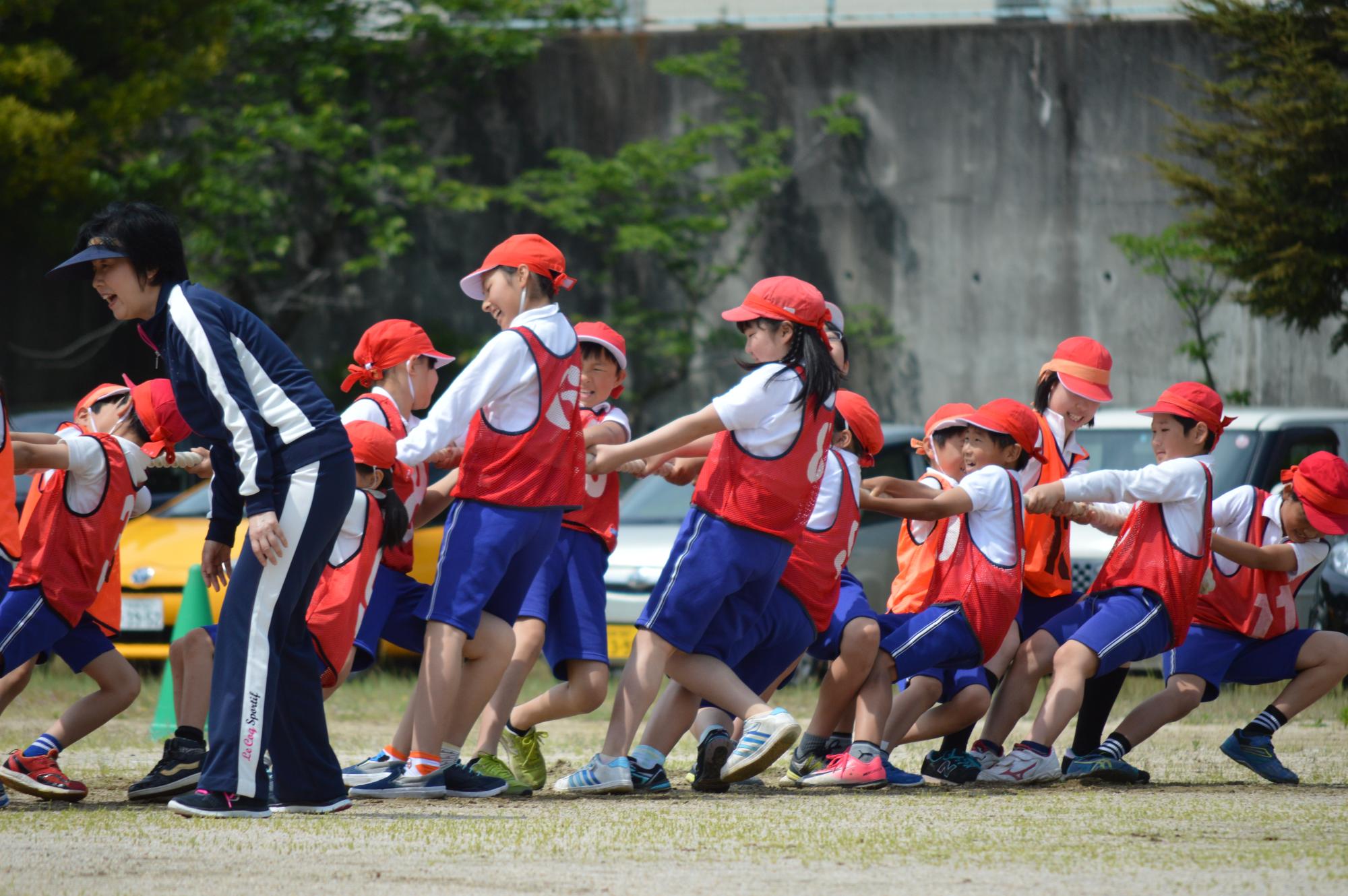 グラウンドてチームごとに分かれ綱引きをする子供たちの写真