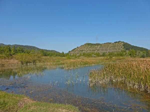 多奈川ビオトープ全体の写真