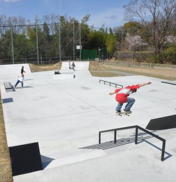 男山スケートパーク