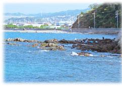 長松自然海岸から見た海とその後ろに広がる岬町の写真