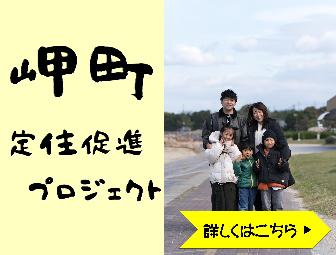 岬町定住促進プロジェクト