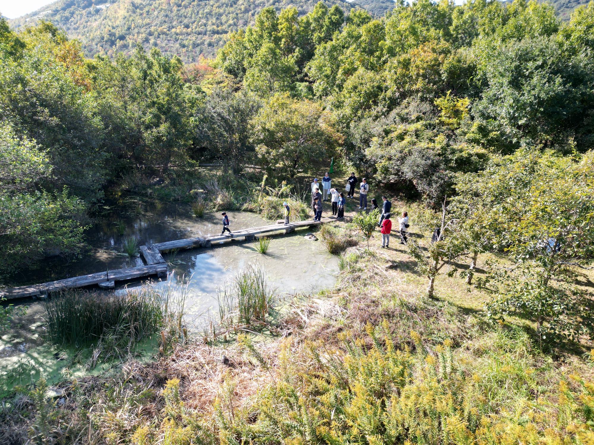 R71115自然観察会の様子2