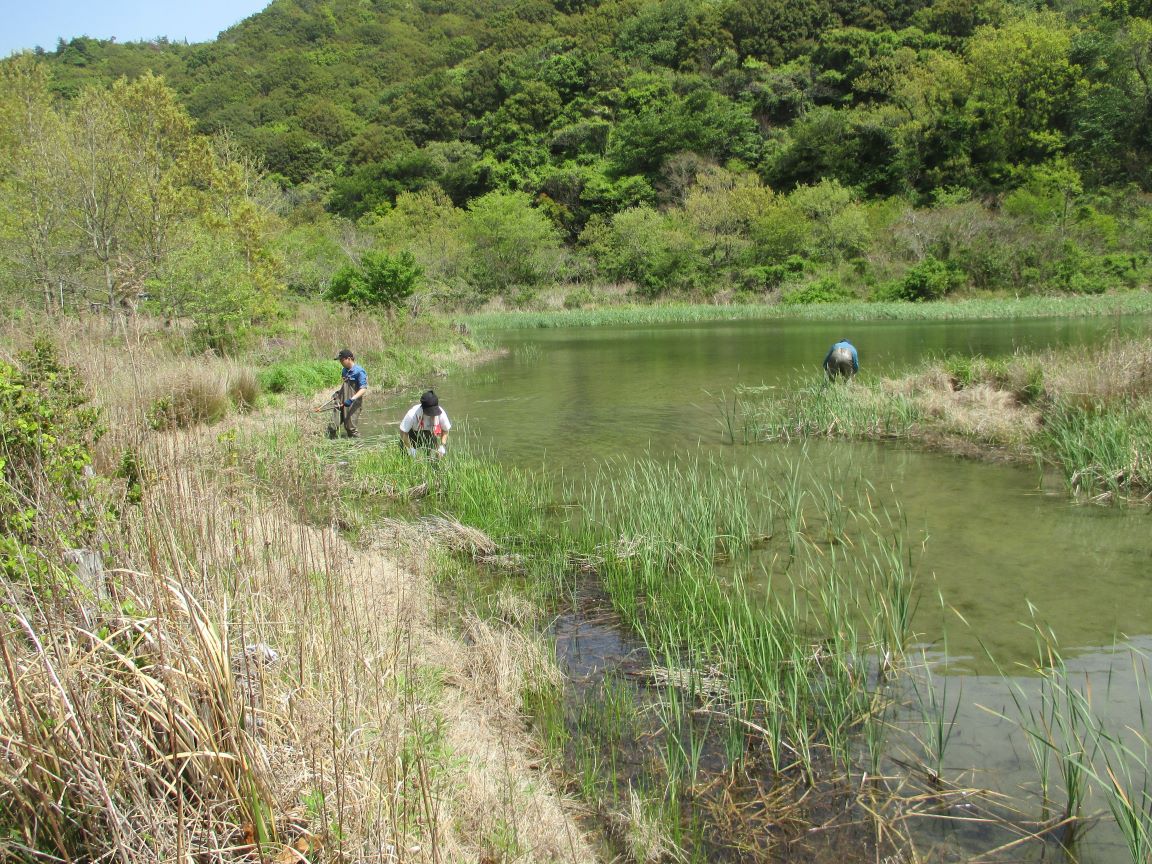 hozenkatudou