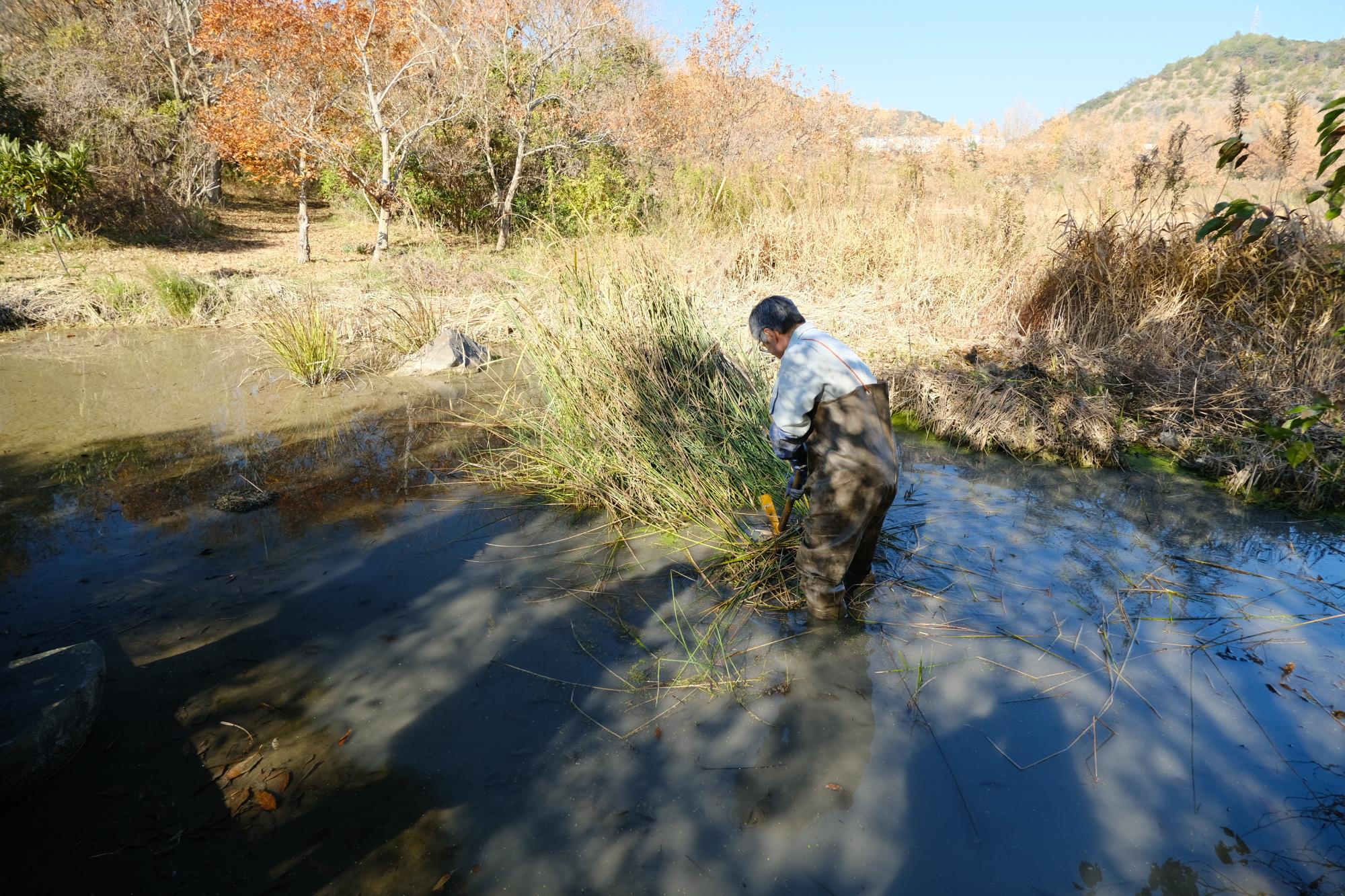 R71220保全活動の様子
