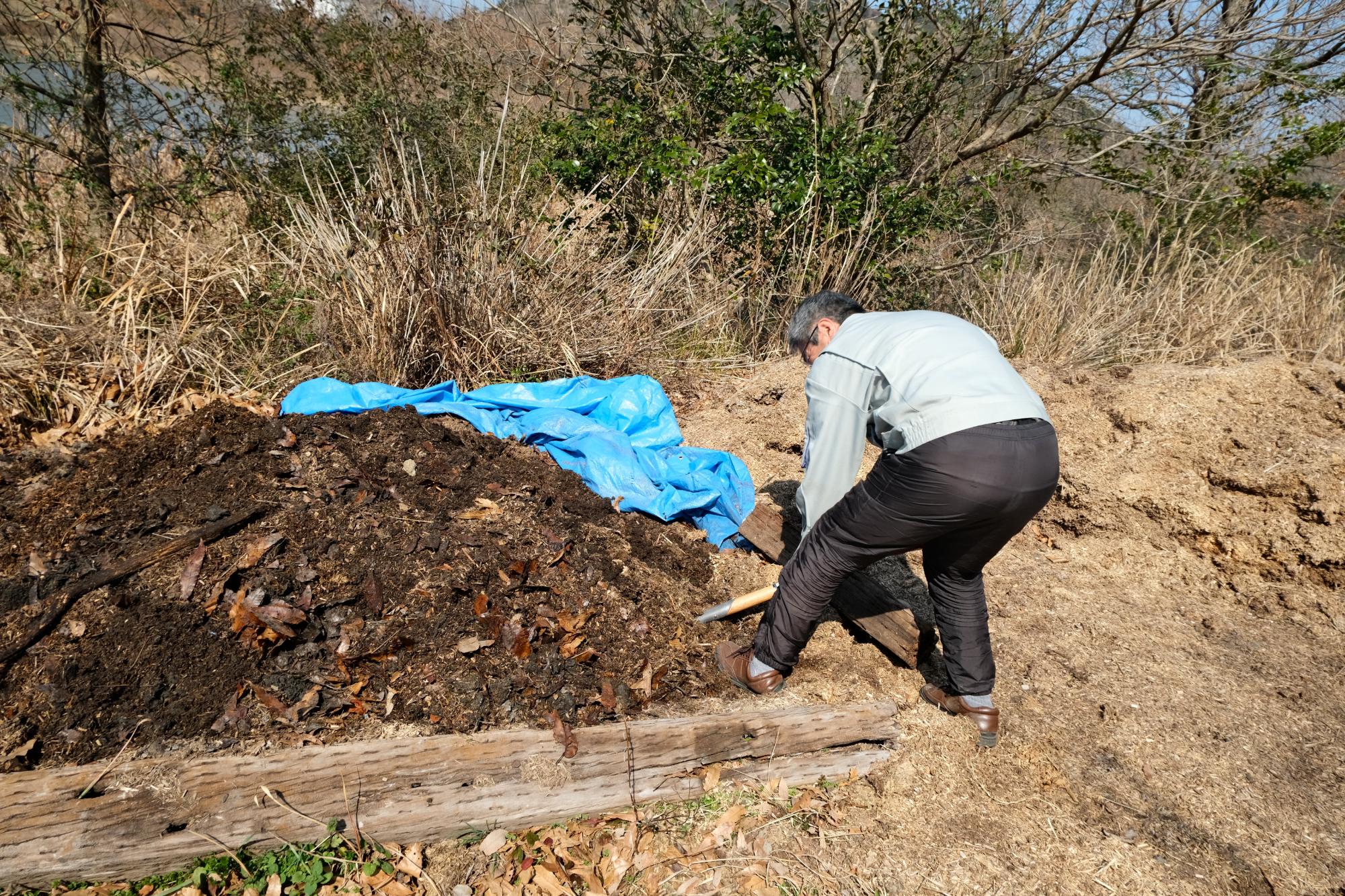 R80221保全活動の様子