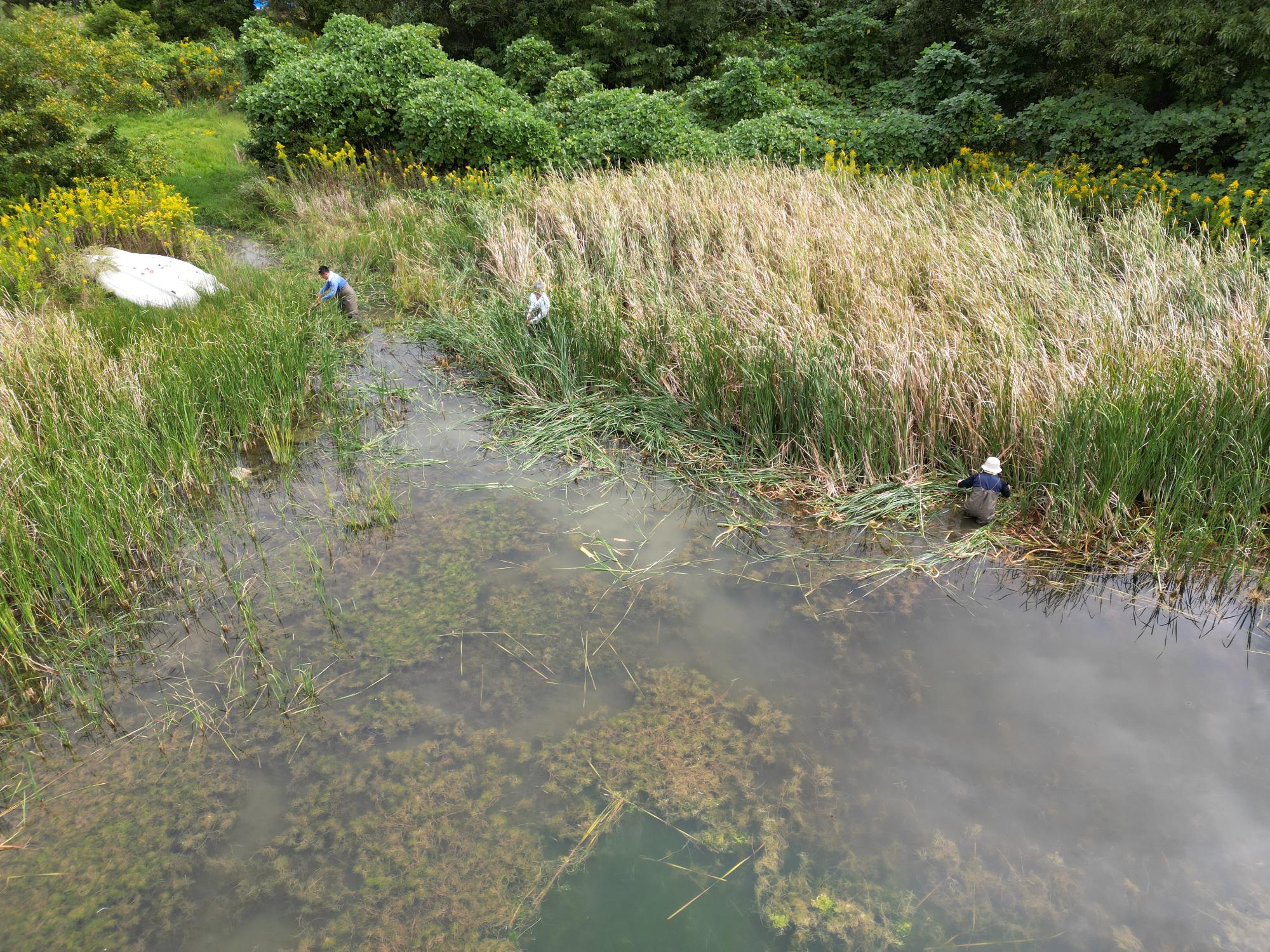 保全活動の様子R71018