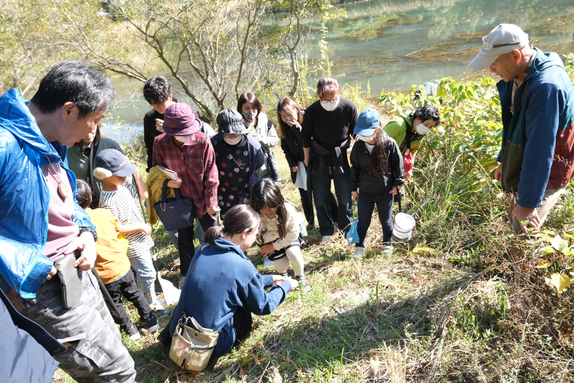 R71115自然観察会の様子