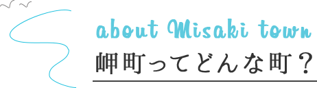 about Misaki town 岬町ってどんな町？