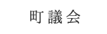 町議会